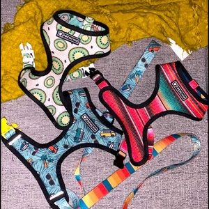 Frenchie kiwi koala harness 🐨 🥝